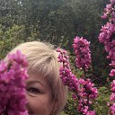 ���� �����, ����, 56 ��� - ��������� 30 ����� 2026