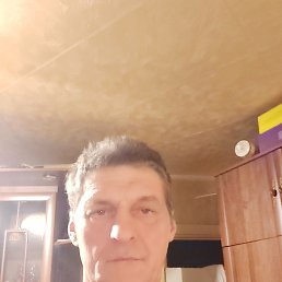 ����, 58 ���, �����������