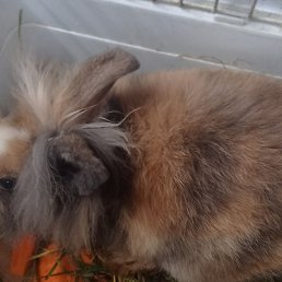 �����, �����, 24 ����