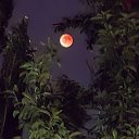 ���� ������, ������ - ��������� 7 �������� 2025 � ������ ���� ����������