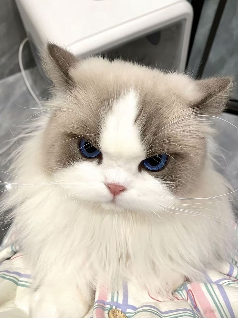 ae oe  aoo  ao co  paco? a oo oaoac? - 5