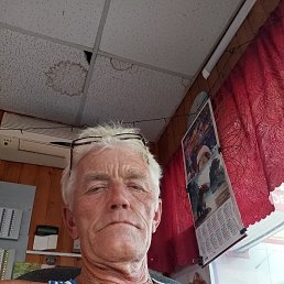 , 61 , --