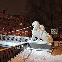 ���� ���������, ����, 57 ��� - ��������� 18 ������� 2025 � ������ ������ ��������