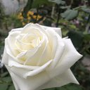 ���� ������, ���������, 45 ��� - ��������� 27 ������� 2023 � ������ ���� ����������