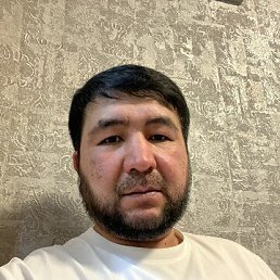 , 41, 