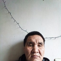 , 52, 