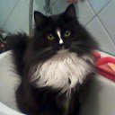 ���� �����������..., ������� - ��������� 12 ������ 2025 � ������ ������ ��������