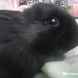 ���� �����, ������, 19 ��� - ��������� 21 ��� 2026
