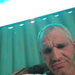 ���� �������, ���������, 42 ���� - ��������� 29 ������ 2025