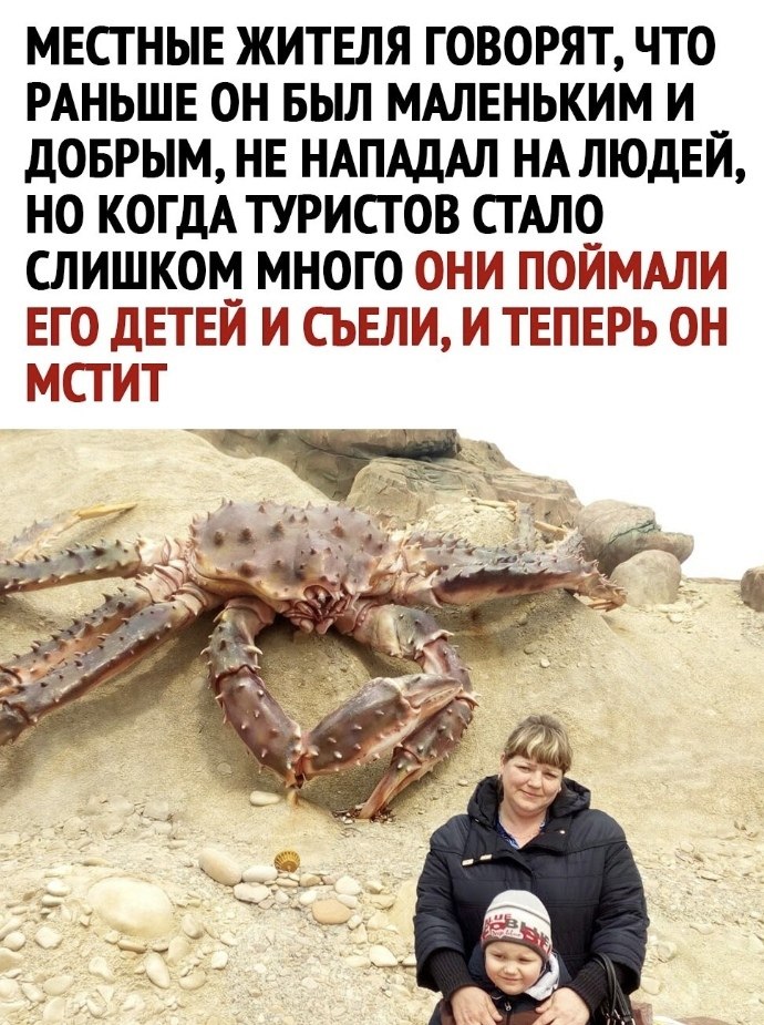     .   -    - 3