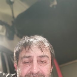 , 54 , 