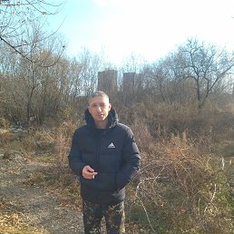 �����, 41 ���, �����������