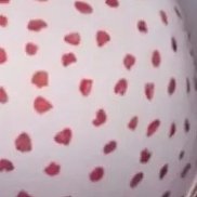 �����, 20 ���, ������