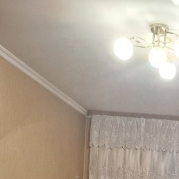 Elena, �����������, 43 ����