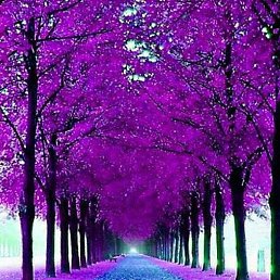 �����, ������������, 27 ���