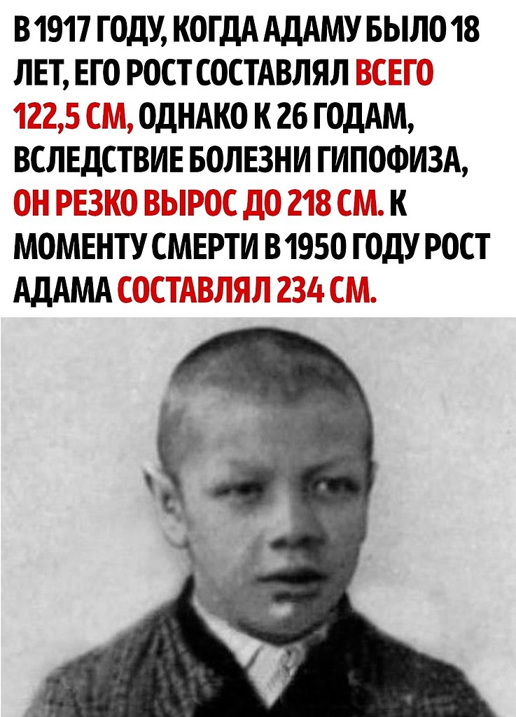     - 2