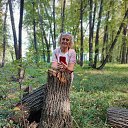 ���� ����, ����������, 54 ���� - ��������� 17 �������� 2025 � ������ ���� ����������