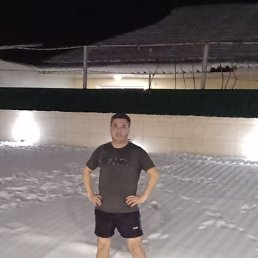 ������, �����, 43 ����