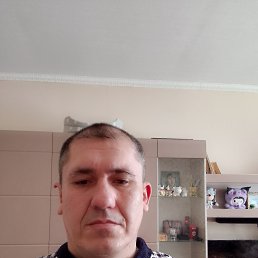 ������ �������, 41 ���, ����