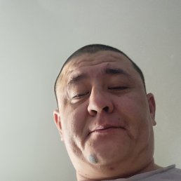 ������, ������������, 41 ���