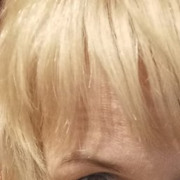 ����, �����-���������, 56 ���