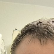 �������, 50 ���, ������