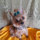 ���� �����, ������, 64 ���� - ��������� 6 ����� 2026