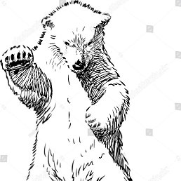 ����, �����, 36 ���