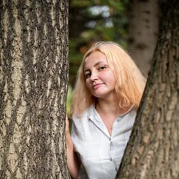 ���������, �����������, 44 ����