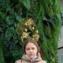 ���� �������, �����������, 34 ���� - ��������� 12 ����� 2024 � ������ ���� ����������