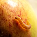 ���� �������, ���������, 50 ��� - ��������� 22 ������� 2023 � ������ ������ ��������