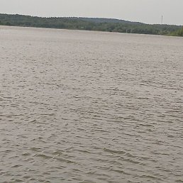 �������, ������, 38 ���