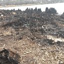 ���� ���������, ���������, 48 ��� - ��������� 29 ����� 2025 � ������ ������ ��������