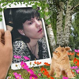 ������, �����������