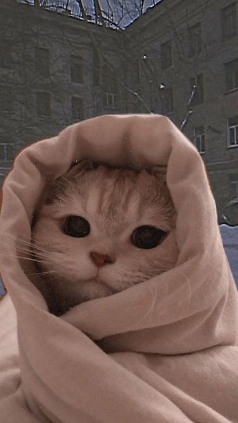 ��� ��������� ���� � ������ � ��������� �� ������� ����: 1. It's freezing outside; make sure to wear ... - 2