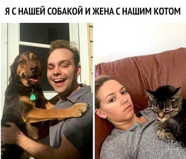 ������� ������ �� ����� ������