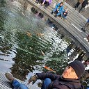 ���� ��������, ����������, 35 ��� - ��������� 19 ������ 2026 � ������ ���� ����������