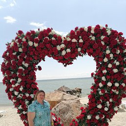 ���� ����, �������, 45 ��� - ��������� 2 ������ 2026