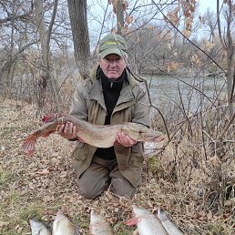 ���� ��������, ������, 60 ��� - ��������� 16 ������� 2025