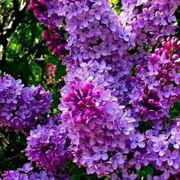 ���� ����, ������, 58 ��� - ��������� 5 ������ 2026