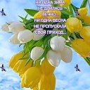 ���� ������, ������� �������� - ��������� 11 ����� 2026 � ������ ���� ����������