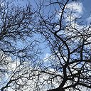 ���� �������., ������� - ��������� 5 ����� 2026 � ������ ������ ��������
