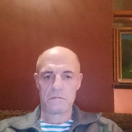 , 53, 