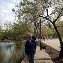 ���� ��������, ���������, 66 ��� - ��������� 24 ������ 2024 � ������ ���� ����������