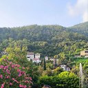 ���� ���, ������, 44 ���� - ��������� 24 ���� 2025 � ������ ���� ����������