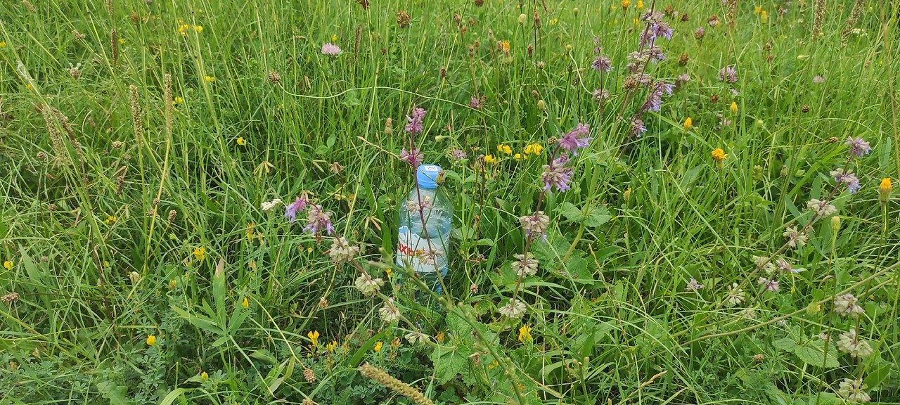 ���� � ������������ �����: ����� � ������. ������� � ������ ��� ������ � ��������� �����������. ... - 4