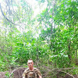 �����, ������������, 44 ����