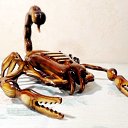 ���� �����, ������ ��������, 59 ��� - ��������� 18 ���� 2026 � ������ ���� �������