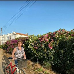 �������, ������, 65 ���