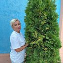 ���� �����, ��������, 59 ��� - ��������� 31 ������� 2025 � ������ ���� ����������